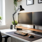 Desk lamp – clipped to monitor riser, home office